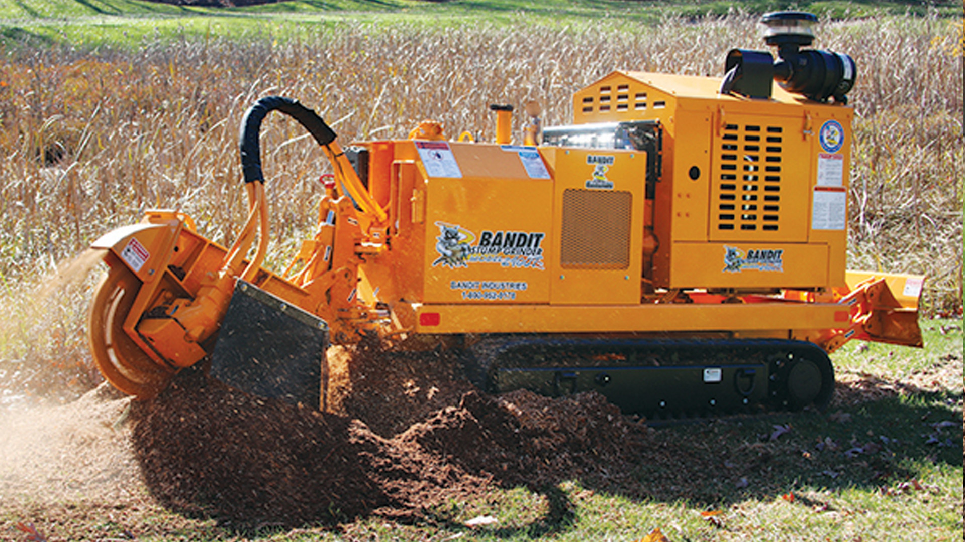 Bandit Stump Grinder 2900 from Iron Source in Delaware
